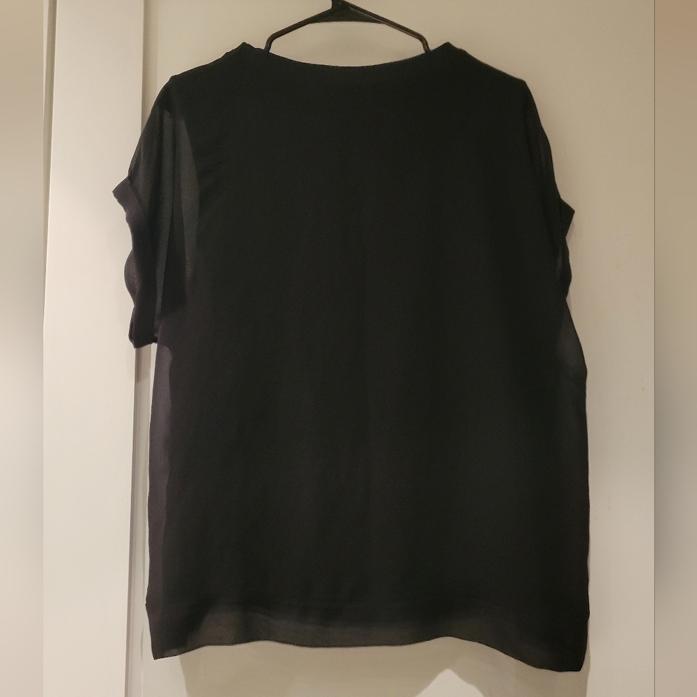 Zara sheer Black Top